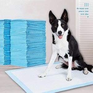 40pcs Large Disposable dog Training Pads-Puppy Pads, Potty Training Pads 22”x22”
